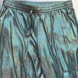 sparkly aquamarine dress pants.